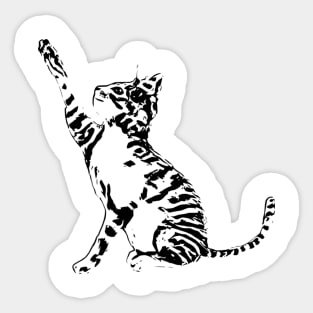 Cat Sticker